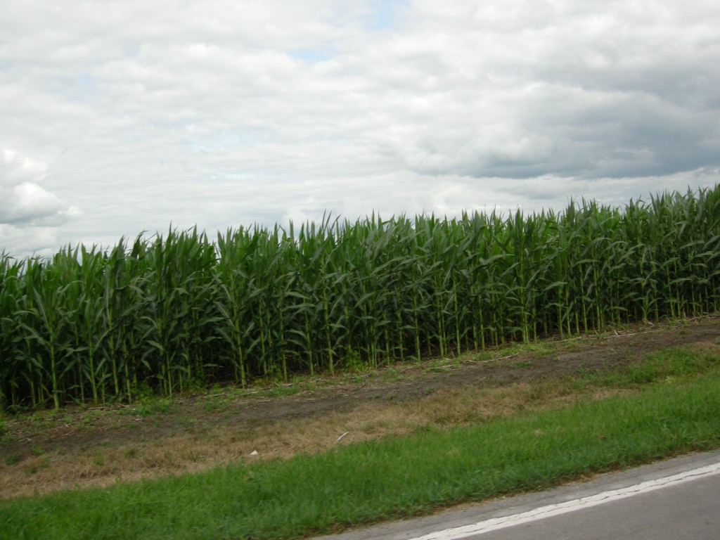 090717-19_TC.IL.Route66_Lincoln.Historical.Run_Dougherty.241_[1024x768]