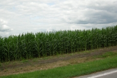 090717-19_TC.IL.Route66_Lincoln.Historical.Run_Dougherty.241_[1024x768]