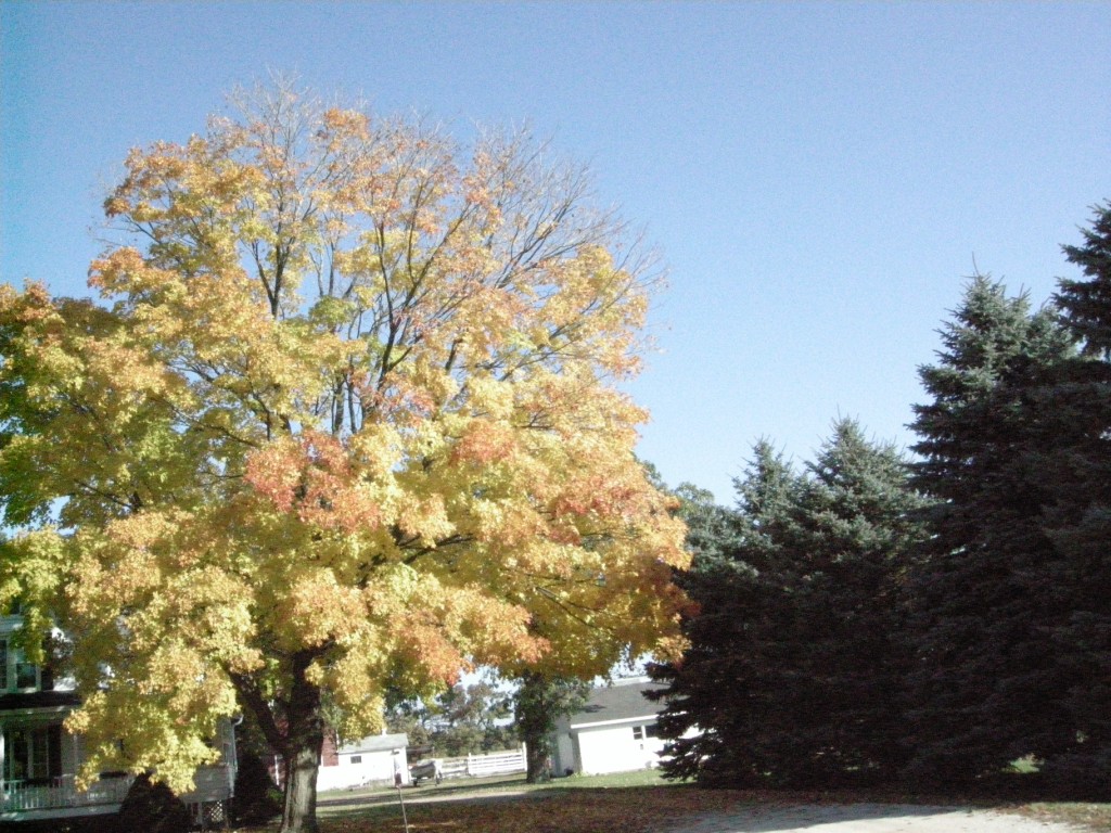 091019_TC_Fall.Colors.Ride_JMWilcox-112_[1024x768]