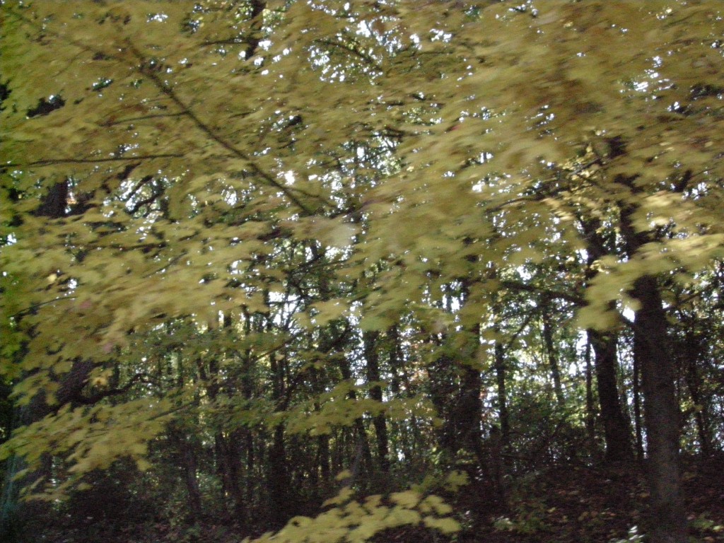 091019_TC_Fall.Colors.Ride_JMWilcox-119_[1024x768]
