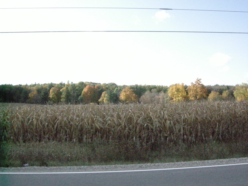 091019_TC_Fall.Colors.Ride_JMWilcox-135_[1024x768]