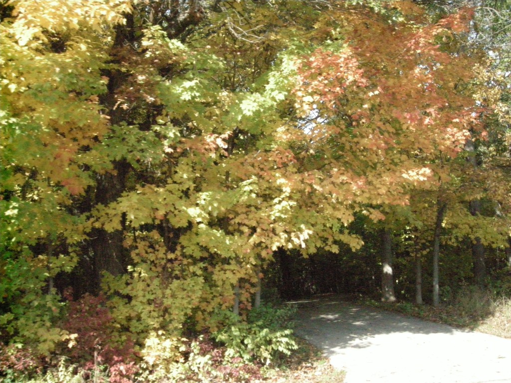 091019_TC_Fall.Colors.Ride_JMWilcox-140_[1024x768]