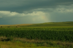 p8070447-800x600
