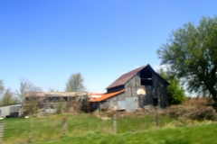 P5010081