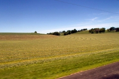 P6180293