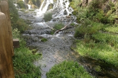 IMG_20180803_115733881