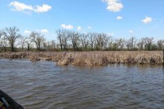 IMG_20190505_130727579