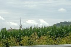 20190713_125643-Copy