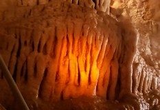 20190714_100050-Copy