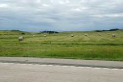20190801_103738-Copy