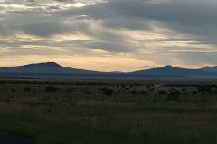 20190809_071358-Copy