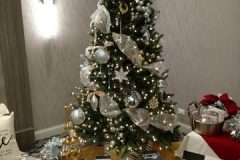 IMG_20191123_113626617-Copy