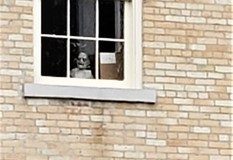 20201017_113600-Copy