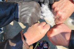 hands