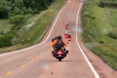 20250729_163956-Copy