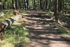 20250926_150053-Copy