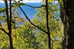 20250926_163222-Copy