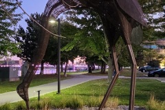 20250928_062109-Copy