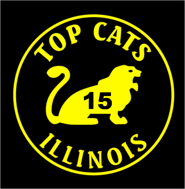 TC_15_year_Gold_Logo